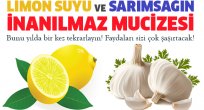 Limon Suyu İle Sarımsak Karışımını Yılda 1 Defa Mutlaka Uygulayın