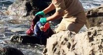Minik sığınmacı Sena'nın sonu da Aylan gibi oldu