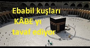 Ebabil kuşları KÂBE yı tavaf ediyor